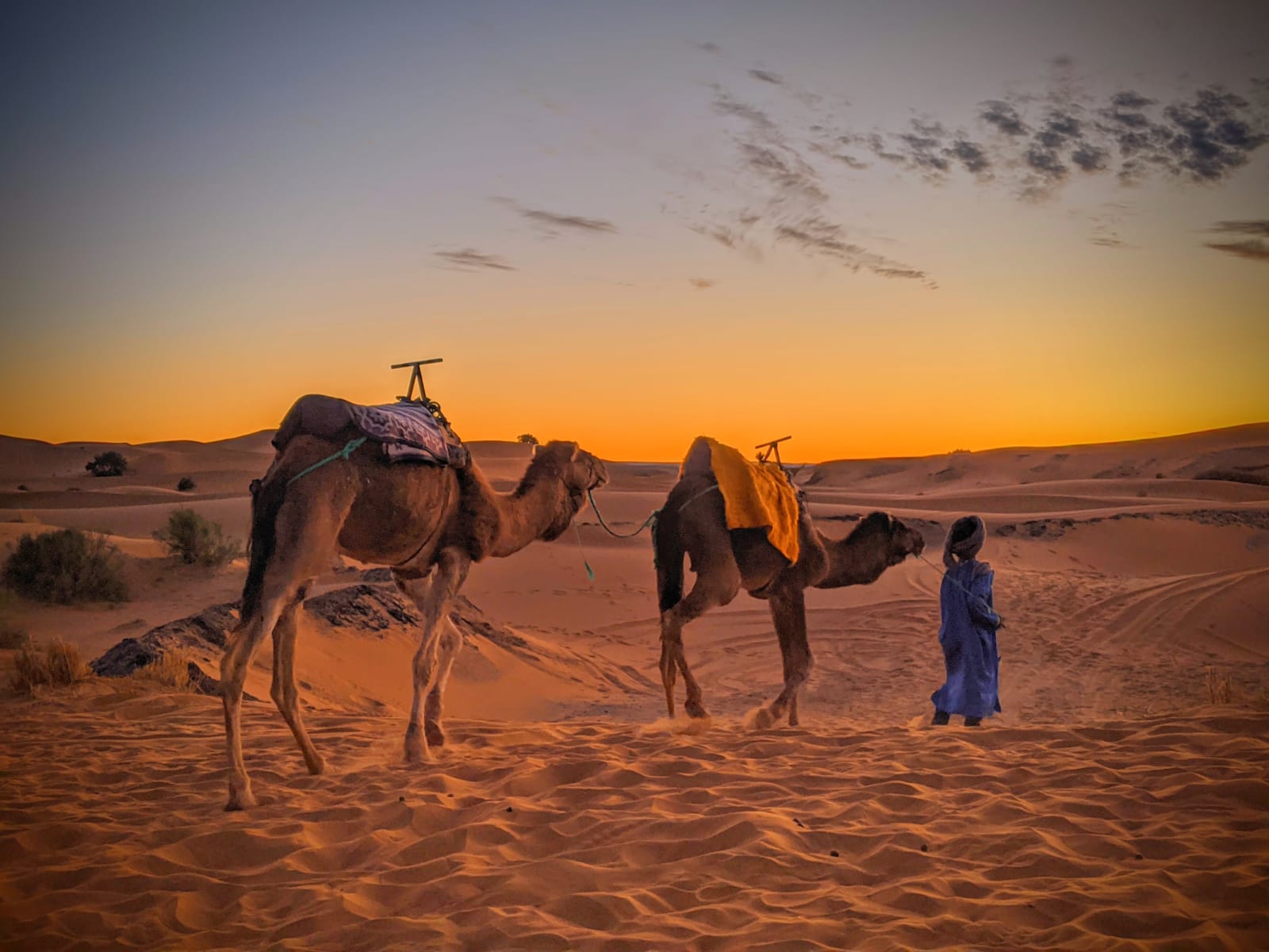 Experience the red dunes & Back to Fes