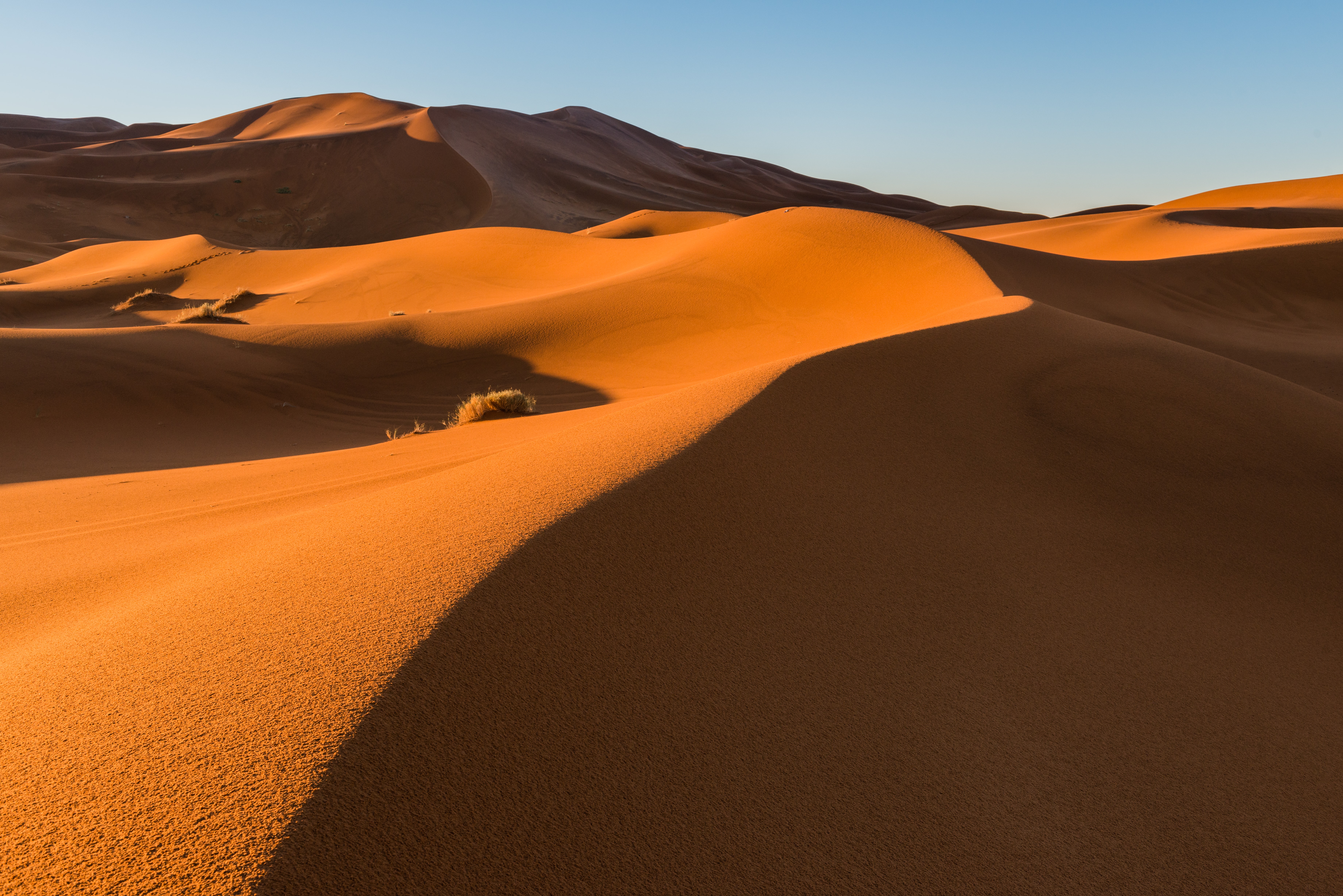 Sundowners on the Majestic Sahara Dunes