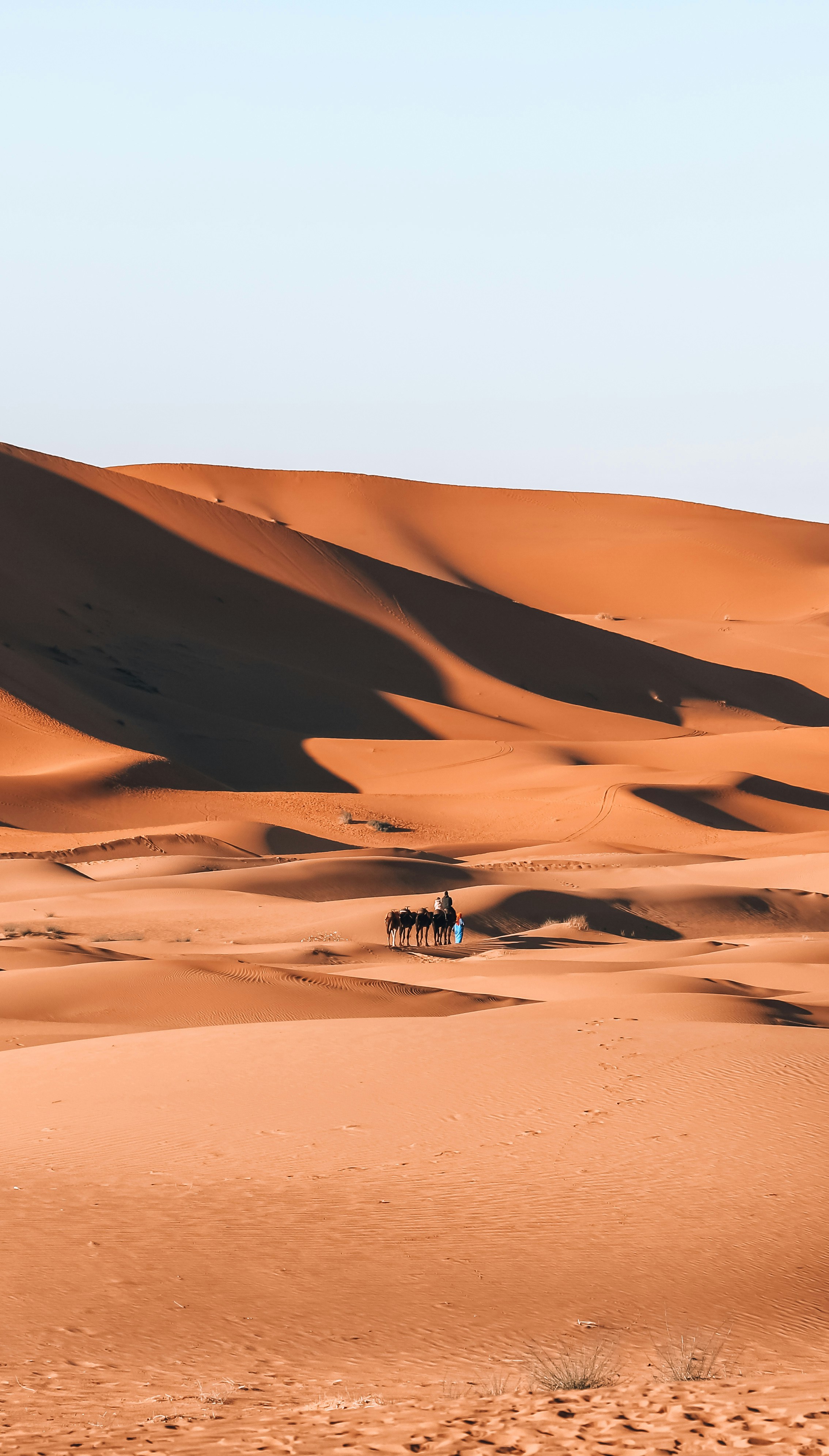 Experience the south & Red dunes from Marrakech